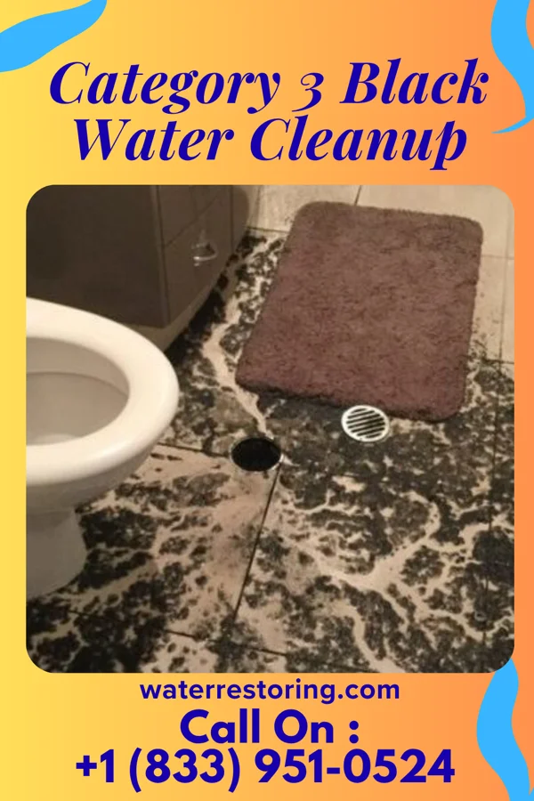 Category 3 Black Water Cleanup in Sevierville, TN