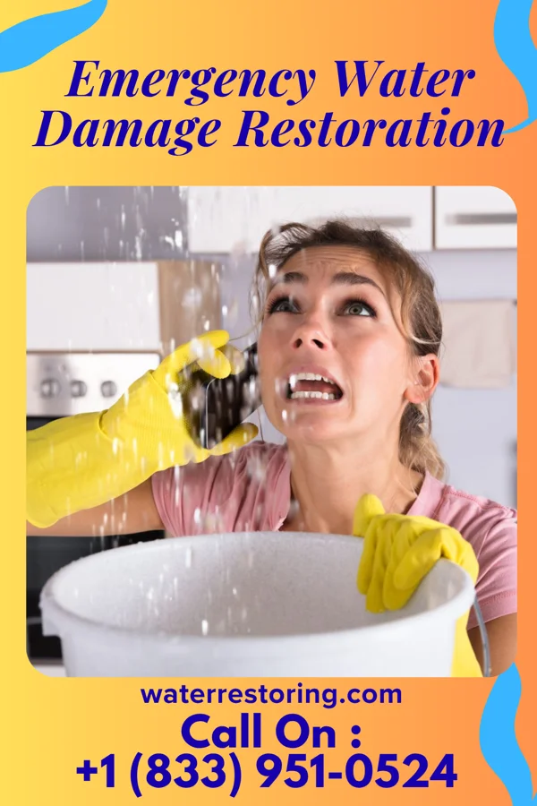 Emergency Water Damage Restoration in Sevierville, TN